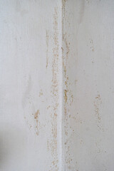 Fototapeta premium 오래된 벽지 위에 자란 곰팡이