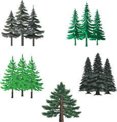 Obraz premium pine tree set vector illustration 