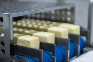 cheese factory industry 