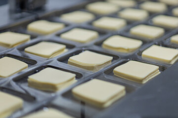 cheese factory industry 