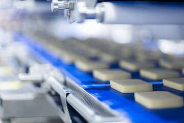 cheese factory industry 