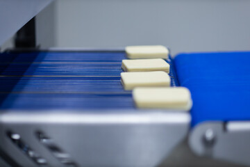 cheese factory industry 