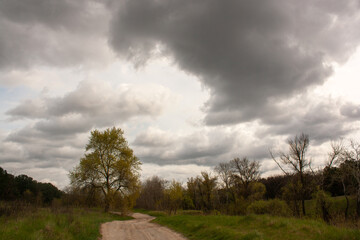 Obraz premium sky and clouds