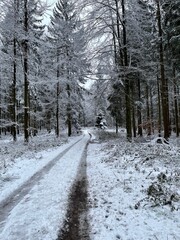 Obraz premium Winter Day in the Black Forest 