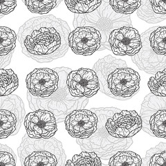 Beautiful Peony Blossom Repeat Pattern Design
