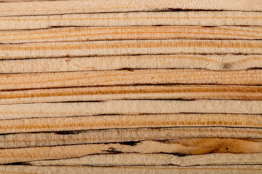plywood, lvl timber, wood texture. taken in close-up in light colors
