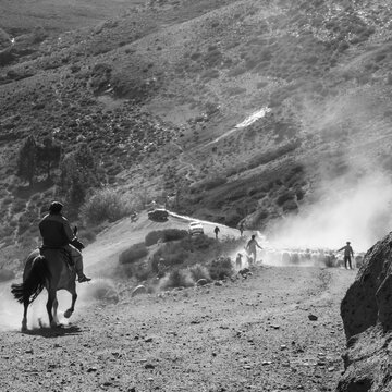 Camino de monta&ntilde;a en blanco y negro con arrieros y animales entre polvo y siluetas
