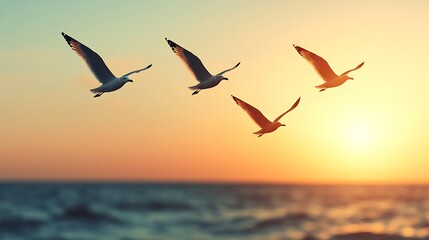 Fototapeta premium Four seagulls soar gracefully over a tranquil ocean during a stunning sunset, creating a serene and picturesque coastal scene.