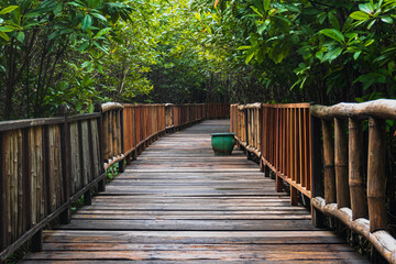 Obraz premium Mangrove Forest with walking path for visitors made from wood. View of Mangrove Forest in Wonorejo Mangrove Forest, Surabaya, East Java, Indonesia. 
