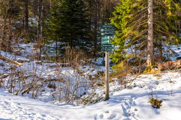 Green walking direction sign in snow Fl&oslash;yen mountains, Bergen, Norway