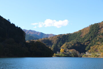 紅葉