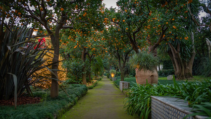 Garden in Sorrento - Costiera Amalfitana