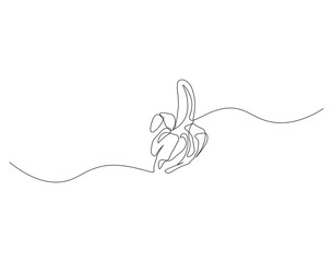 Obraz premium Continuous line drawing whole bunch healthy organic bananas . Fresh summer tropical fruitage concept fruit garden