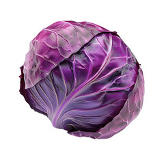 Obraz premium Purple Cabbage Isolated