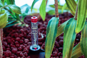 Indoor water indicator for  houseplants. Passive hydroponics system with water level indicator,...