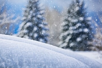 Fototapeta premium winter landscape with a pristine layer of snow in the foreground