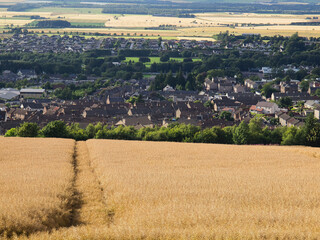 Łany nad miastem.  © Janusz