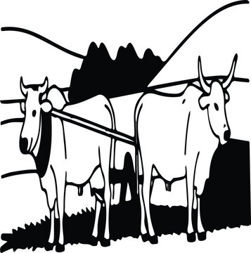 A set of oxe outline with background