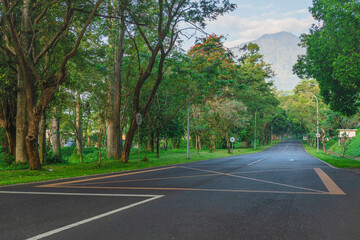 Obraz premium The atmosphere of nature tourism Taman Dayu, pasuruan, East Java, Indonesia. The streets are still filled with big, soothing trees. 