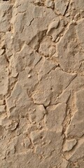 Close-up of a rough, textured stone surface in natural earth tones, textured, natural
