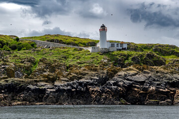 Seabird Nature Reserve Isle Of May In The Firth Of Forth In The Atlantic Ocean Near Anstruther In...