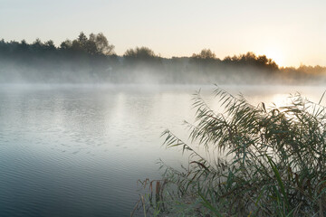 misty morning on the river