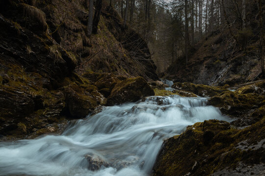waterfall in the forest