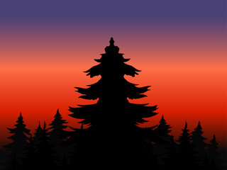 abstract sunset forest background nature design