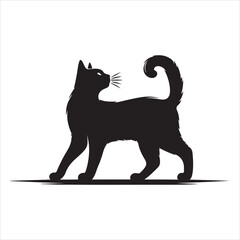 Obraz premium black cat silhouette