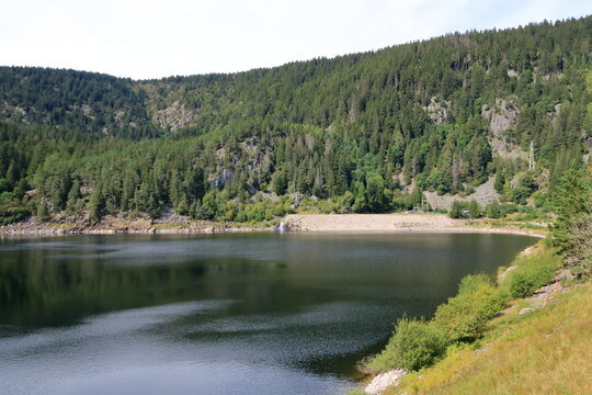 the black lake in the Vosges Lac Noir, Colmar, France