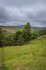 Naklejka premium Wicklow, Ireland - June 30 2024 