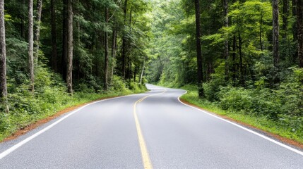 Obraz premium A smoothly curved road winding through a lush green forest, creating a sense of tranquility and adventure in the heart of nature's beauty and serenity.