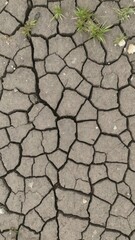 Cracked dry soil texture with bits of grass and pebbles, pebbles, soil