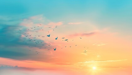 Sunset sky with flying seagulls, nature background.