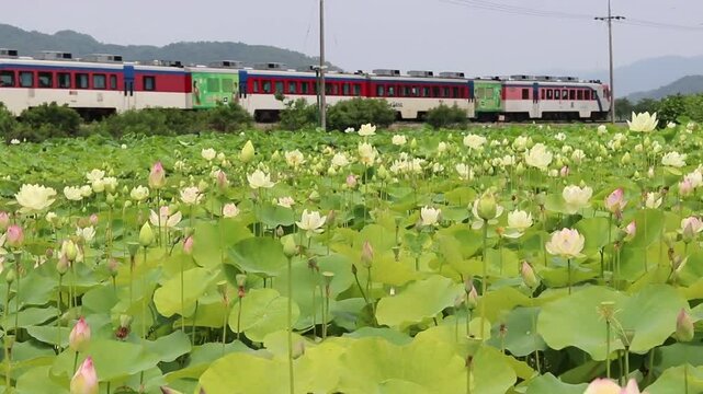 train in the countryside, generative Ai