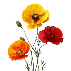 Obraz premium Beautiful Red and Yellow Poppies