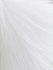 Fototapeta premium Soft and delicate feather texture in shades of white and grey, gentle, white