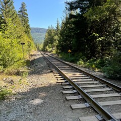 Obraz premium Railroad tracks in park