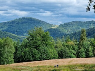 Przepiękny krajobraz Beskidu Śląskiego. Polska