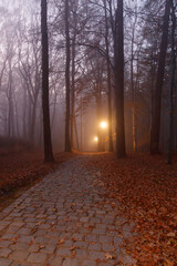 Latarnia miejska w nocy w parku © Gyurkowich