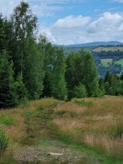 Przepiękny krajobraz Beskidu Śląskiego. Polska