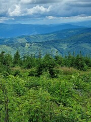 Przepiękny krajobraz Beskidu Śląskiego. Polska