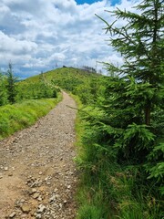 Przepiękny krajobraz Beskidu Śląskiego. Polska
