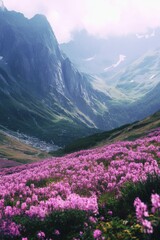 Fototapeta premium Breathtaking view of a lush alpine valley filled with pink wildflowers, surrounded by towering mountains and a dramatic cloudy sky.