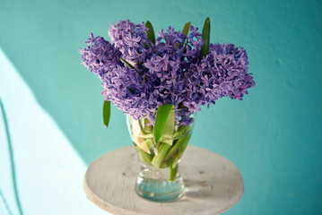 hiacynty, kwiat, fiolet, jary, charakter, kwiat, jardin, lavende, roślin, błękit, szafirek, kwiat, lato, bez, hiacynt, kwiat, kwiatowy, szafirek groniasty, ,kompozycja,  busz, flora, pora roku, od