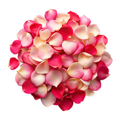 Fototapeta premium Pile of rose petal top view on transparent background