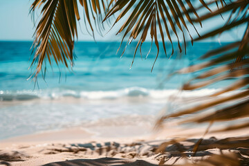 palm tree on the beach