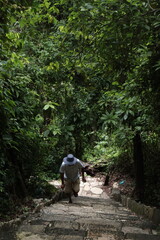man climbing stairs in palenque surrounded by trees, travel through chiapas, tourism