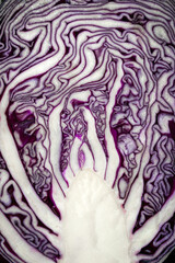 Purple cabbage. Cabbage in section. Cabbage texture. Vertical arrangement