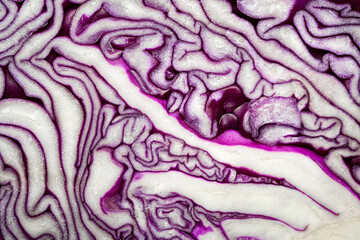 Obraz premium Purple cabbage. Full frame cabbage in section. Cabbage texture. Macro photo